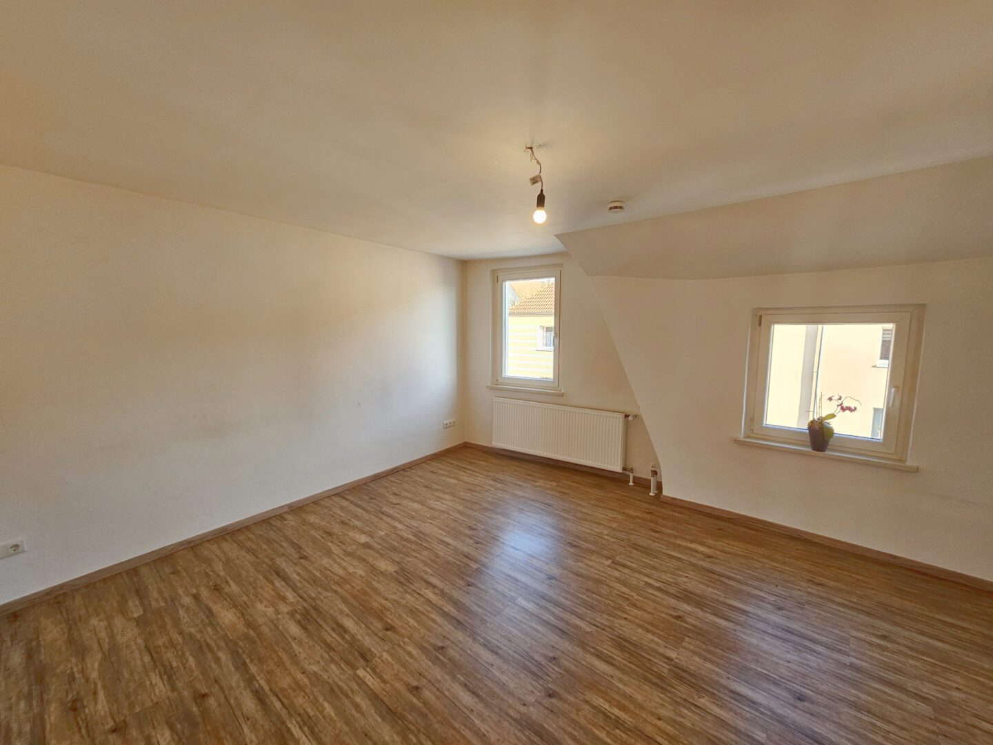 Wohnzimmer / Schlafzimmer 2